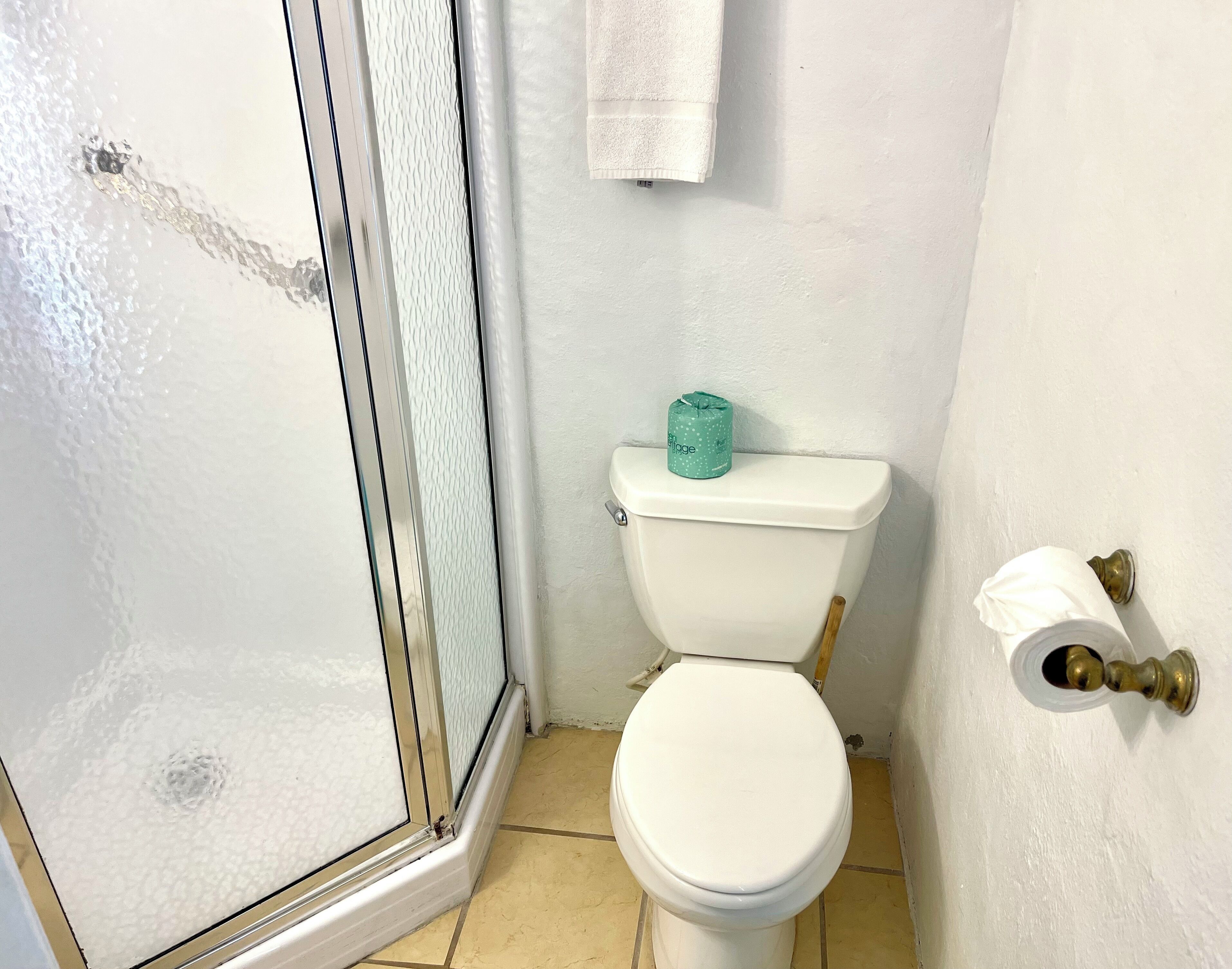 A small bathroom with a toilet, a towel hanging on the wall, and a toilet paper holder.