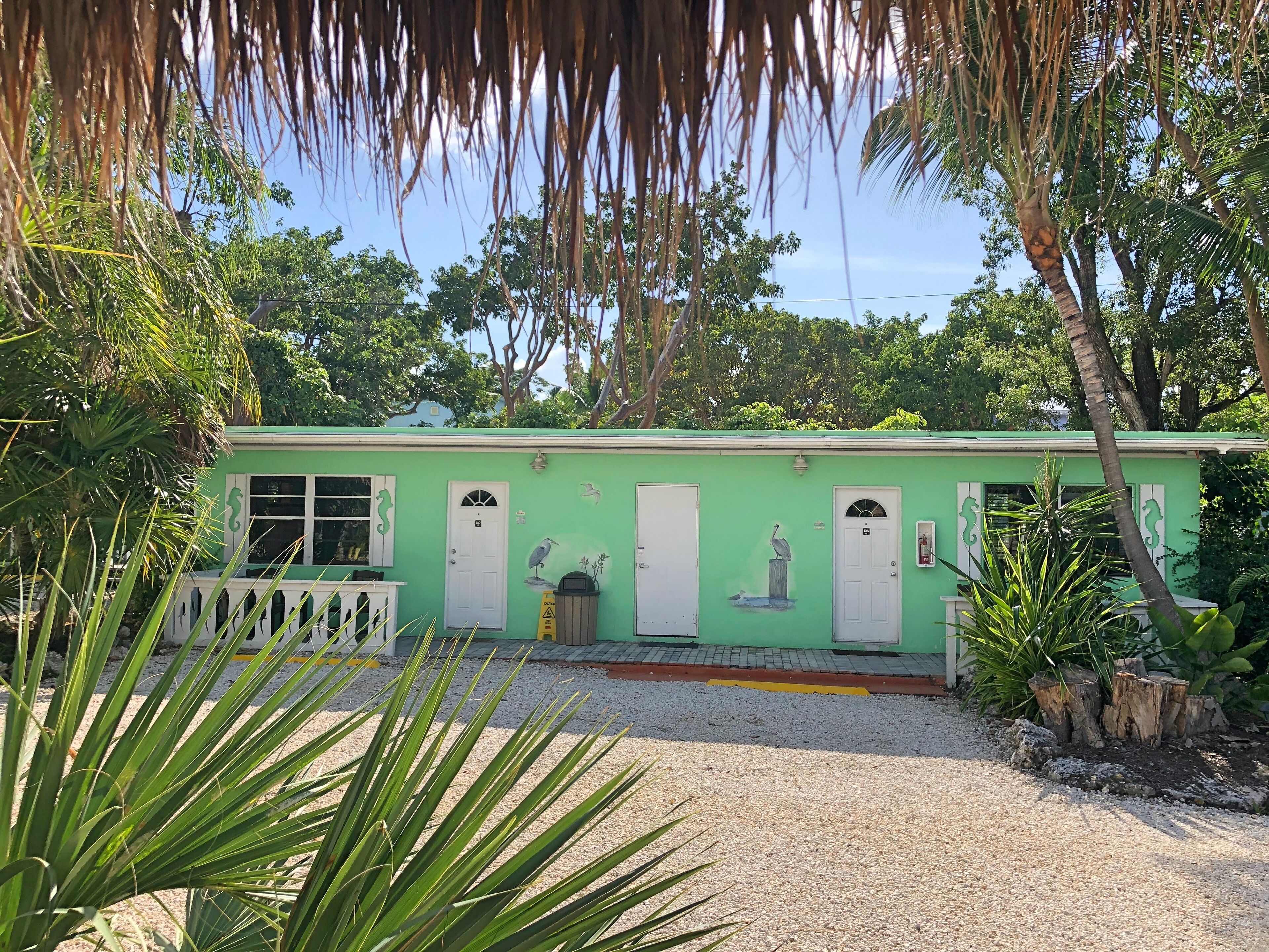 A green building with white doors and windows, surrounded by palm trees and other vegetation.