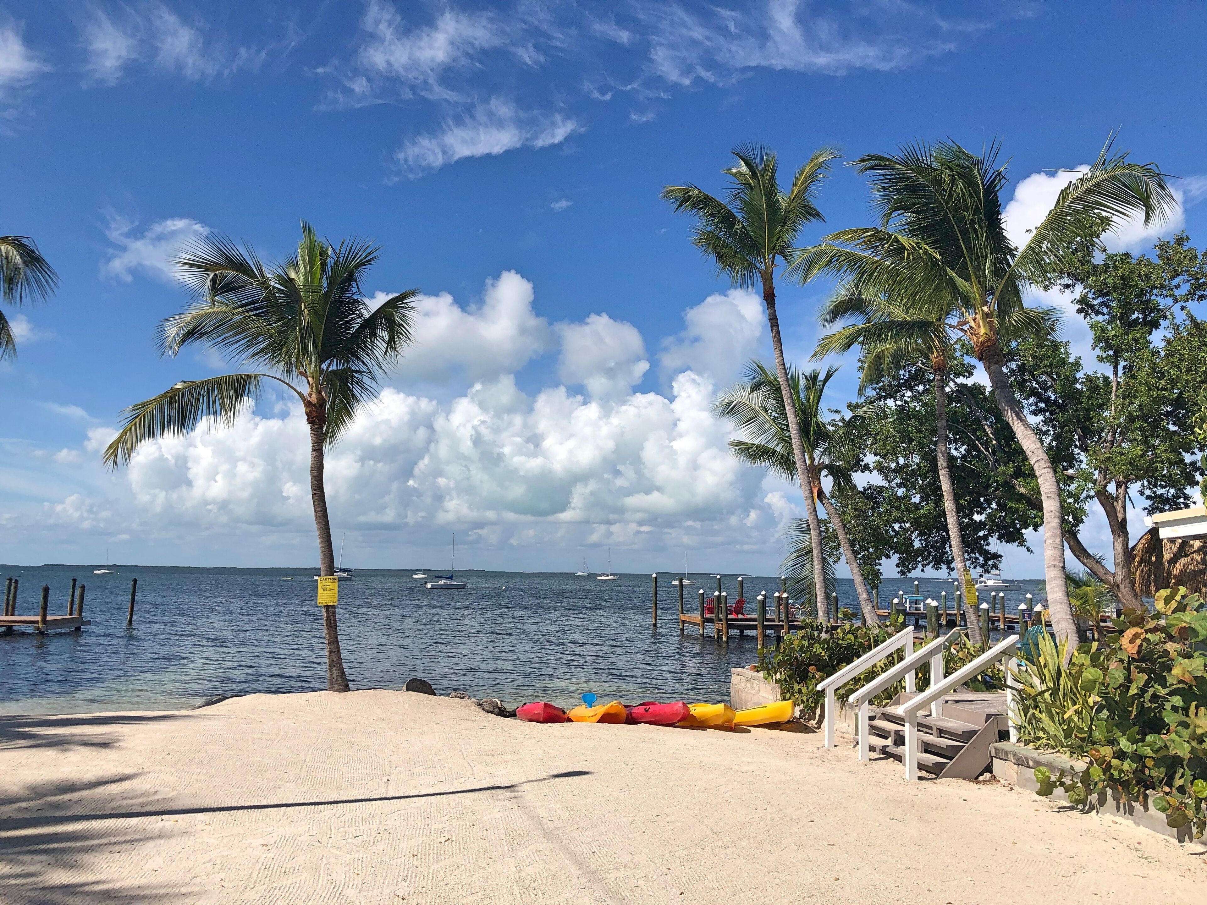 A beach with palm trees, a sandy shore, and boats in the water.