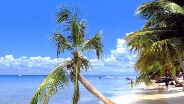 A beach scene with palm trees, clear blue water, and a sandy shore. - Villa Chiara Las Terrenas (Las Terrenas)