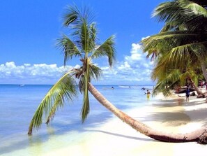 A beach scene with palm trees, clear blue water, and a sandy shore. - Villa Chiara Las Terrenas (Las Terrenas)