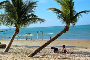 A beach with palm trees, a sandy shore, and the ocean in the background.