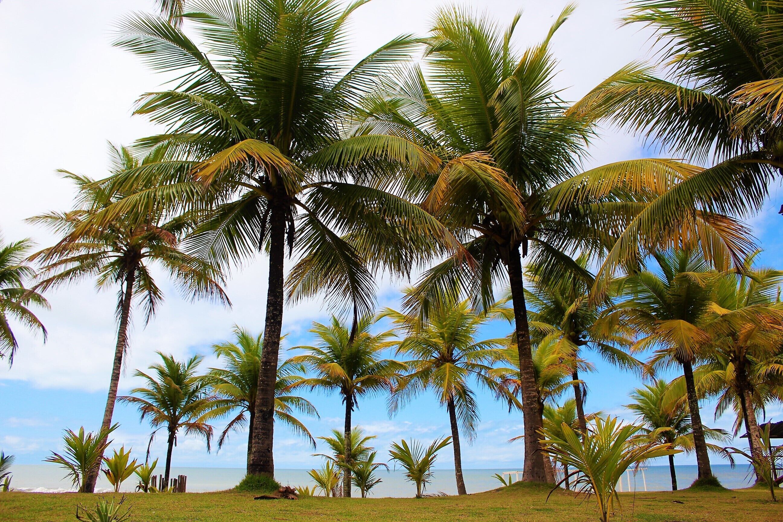 Foto - Hotel Vale Verde Coroa Vermelha