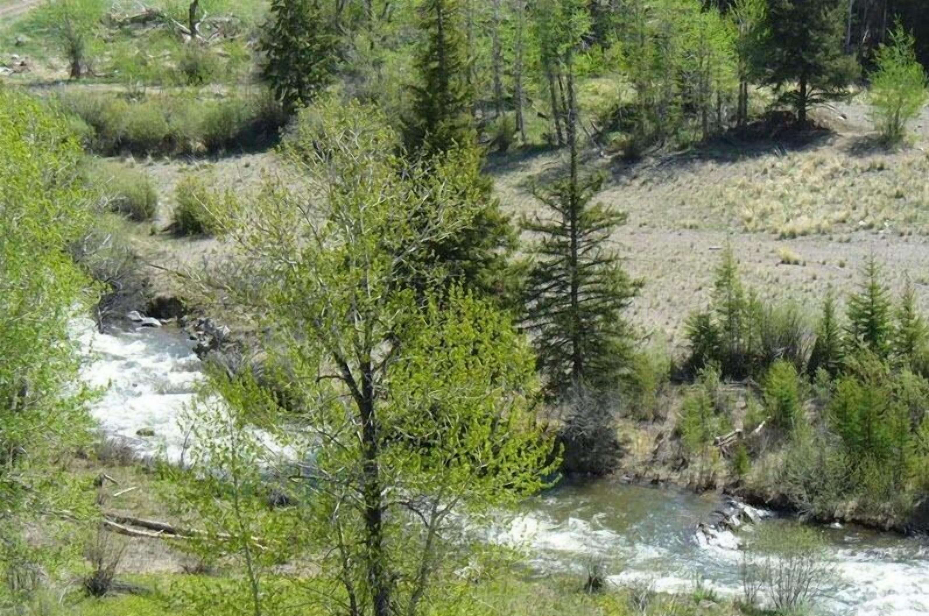 Un fiume che serpeggia attraverso una zona boschiva, con alberi e terreno roccioso.