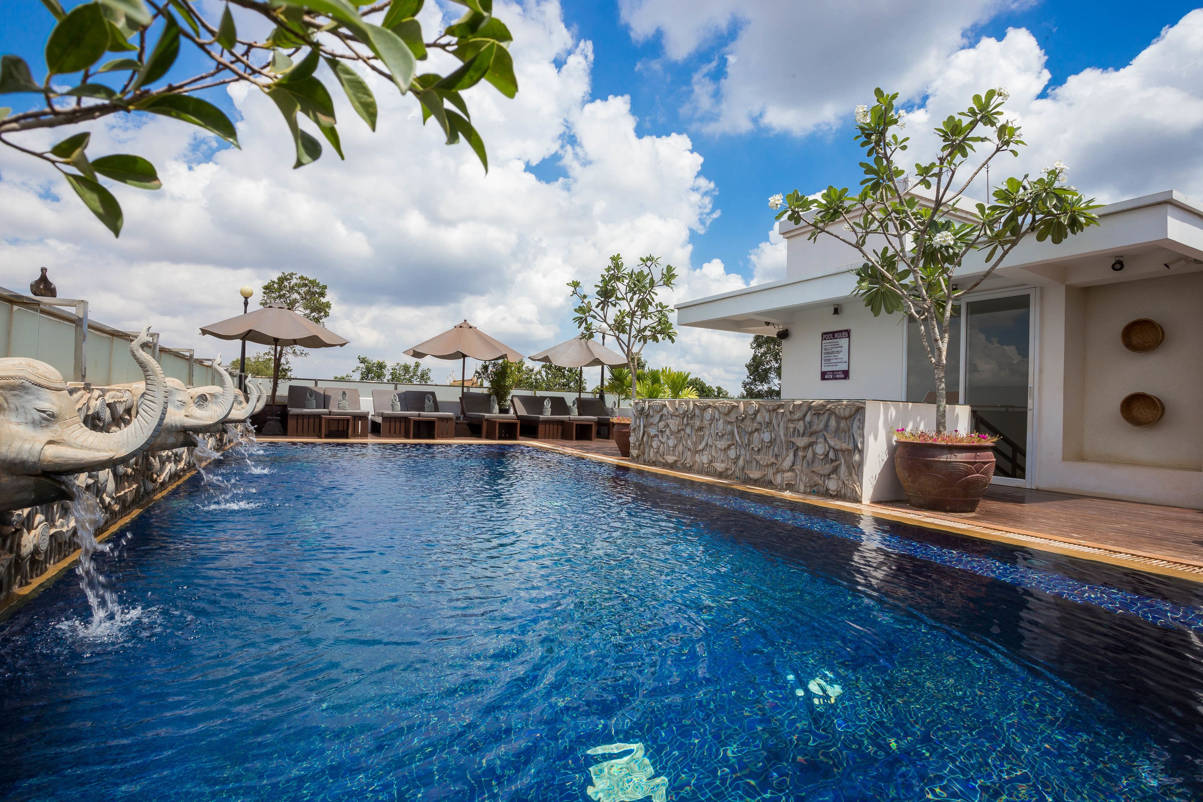 outdoor pool, a rooftop pool, pool umbrellas, pool loungers