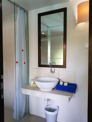 Bathroom features a glass shower enclosure, a white sink, and a mirror with a dark frame.