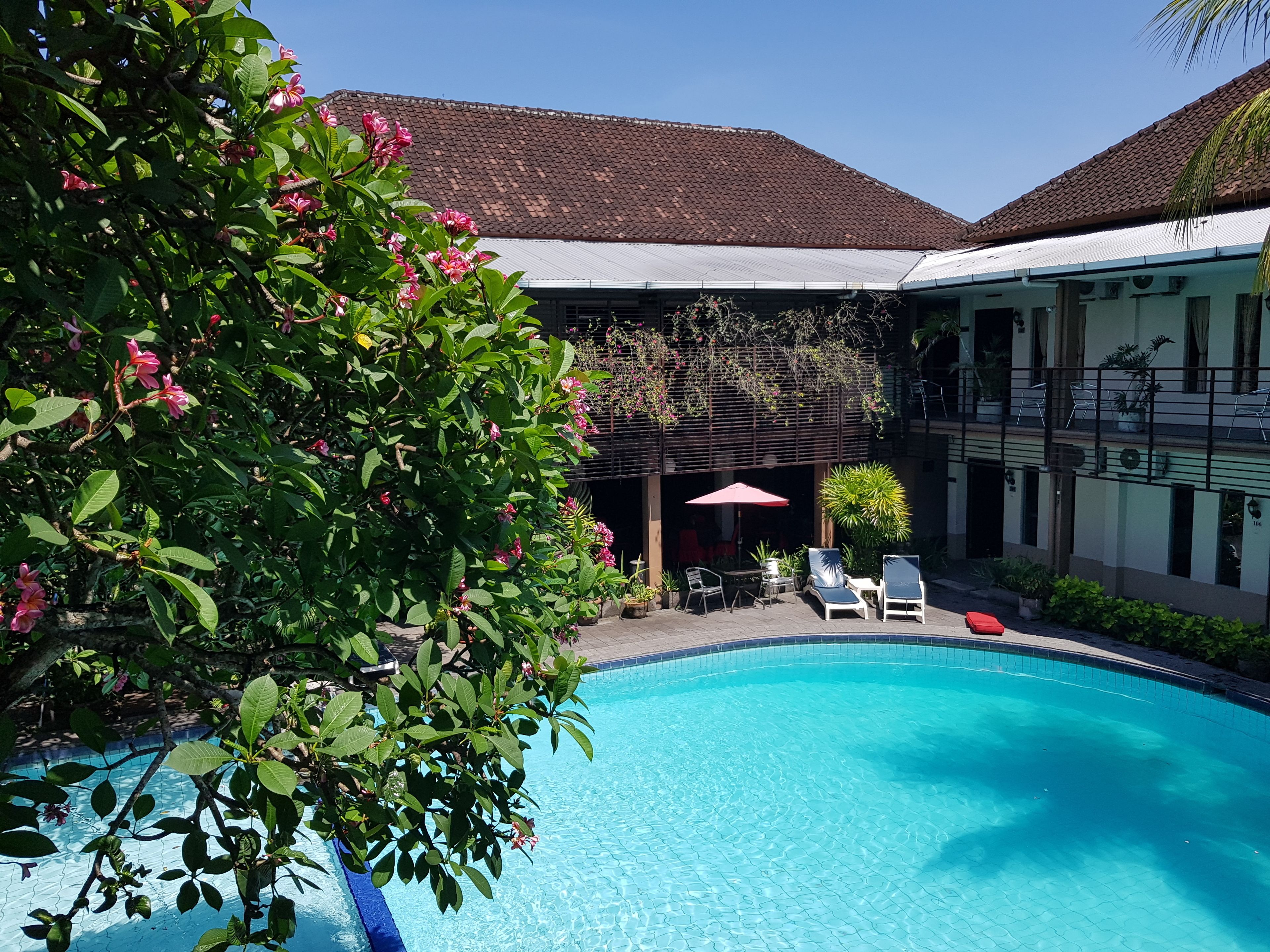 A swimming pool with lounge chairs and a table, surrounded by lush greenery and a building with a tiled roof.