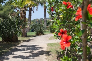 Jardín