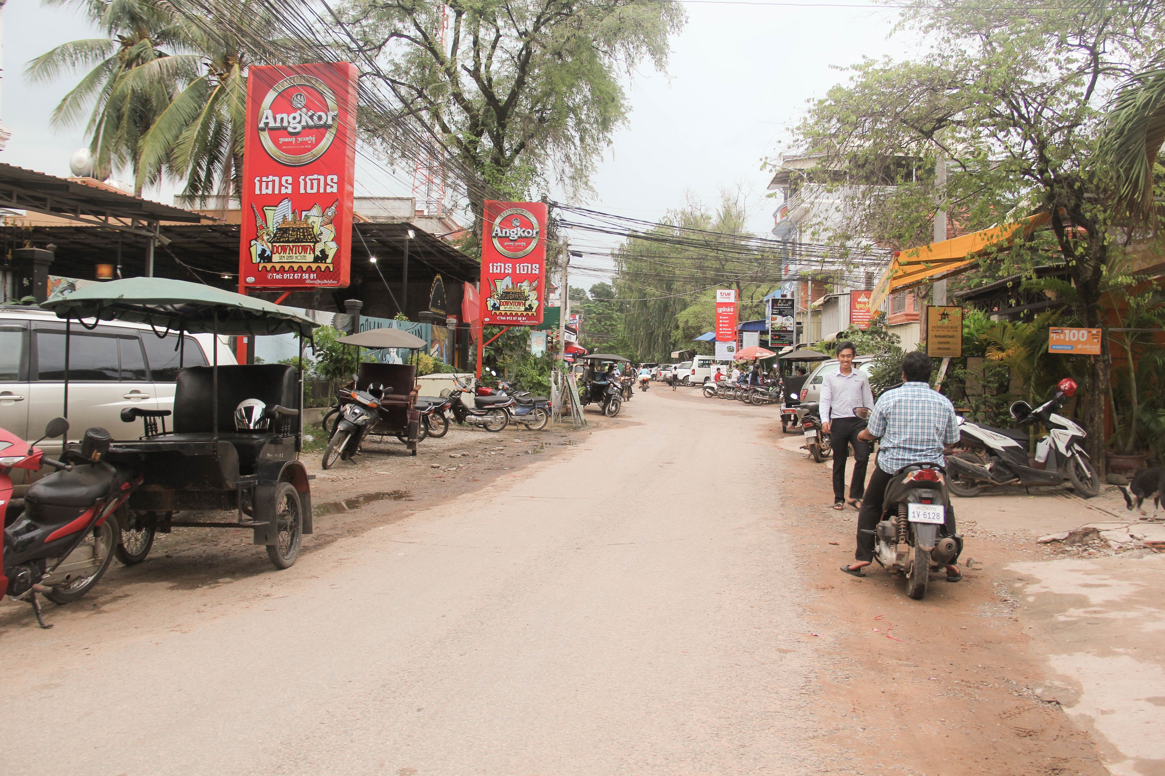 Photo - Tropical Breeze