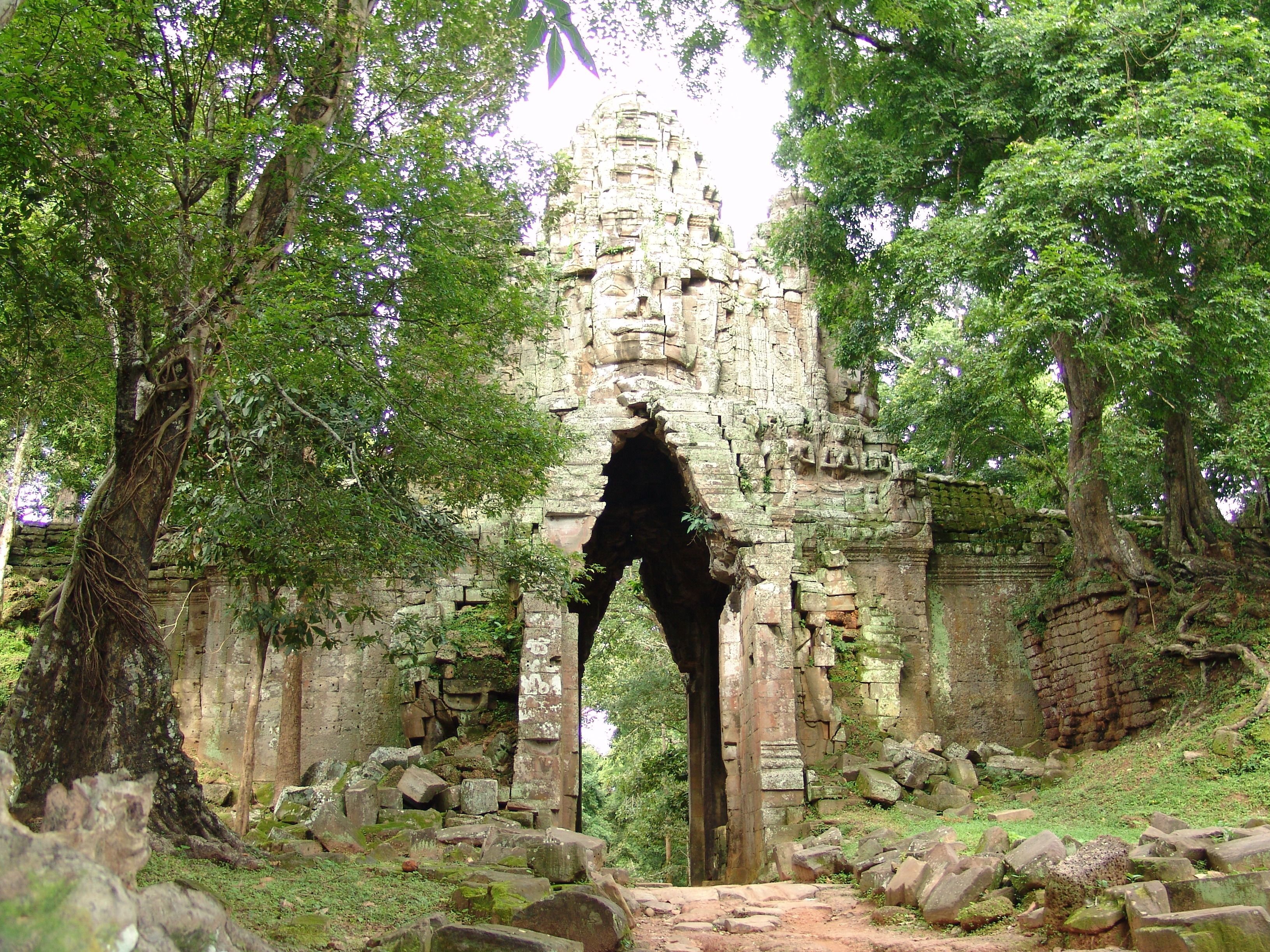 Photo - Tropical Breeze