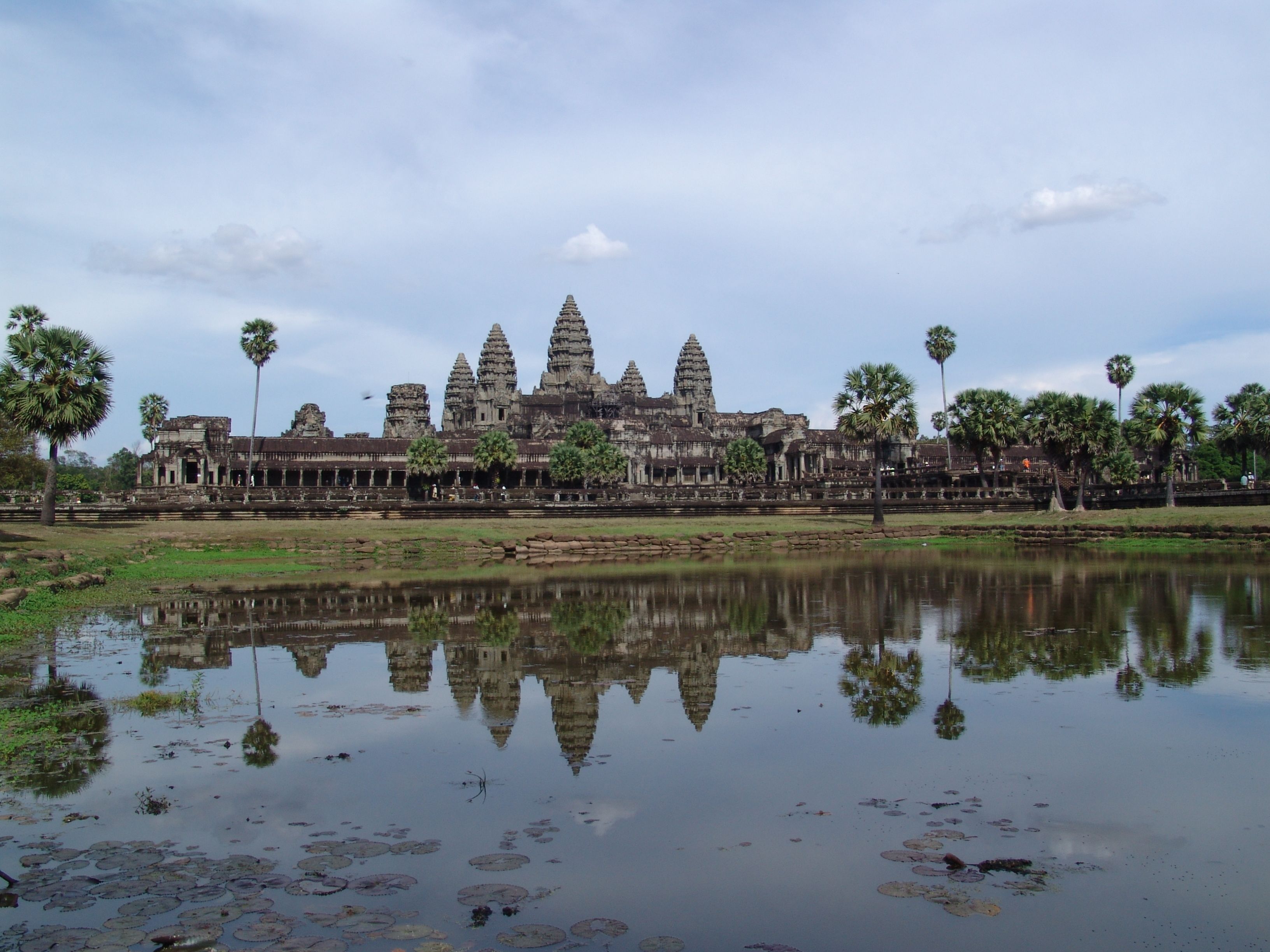 Photo - Tropical Breeze