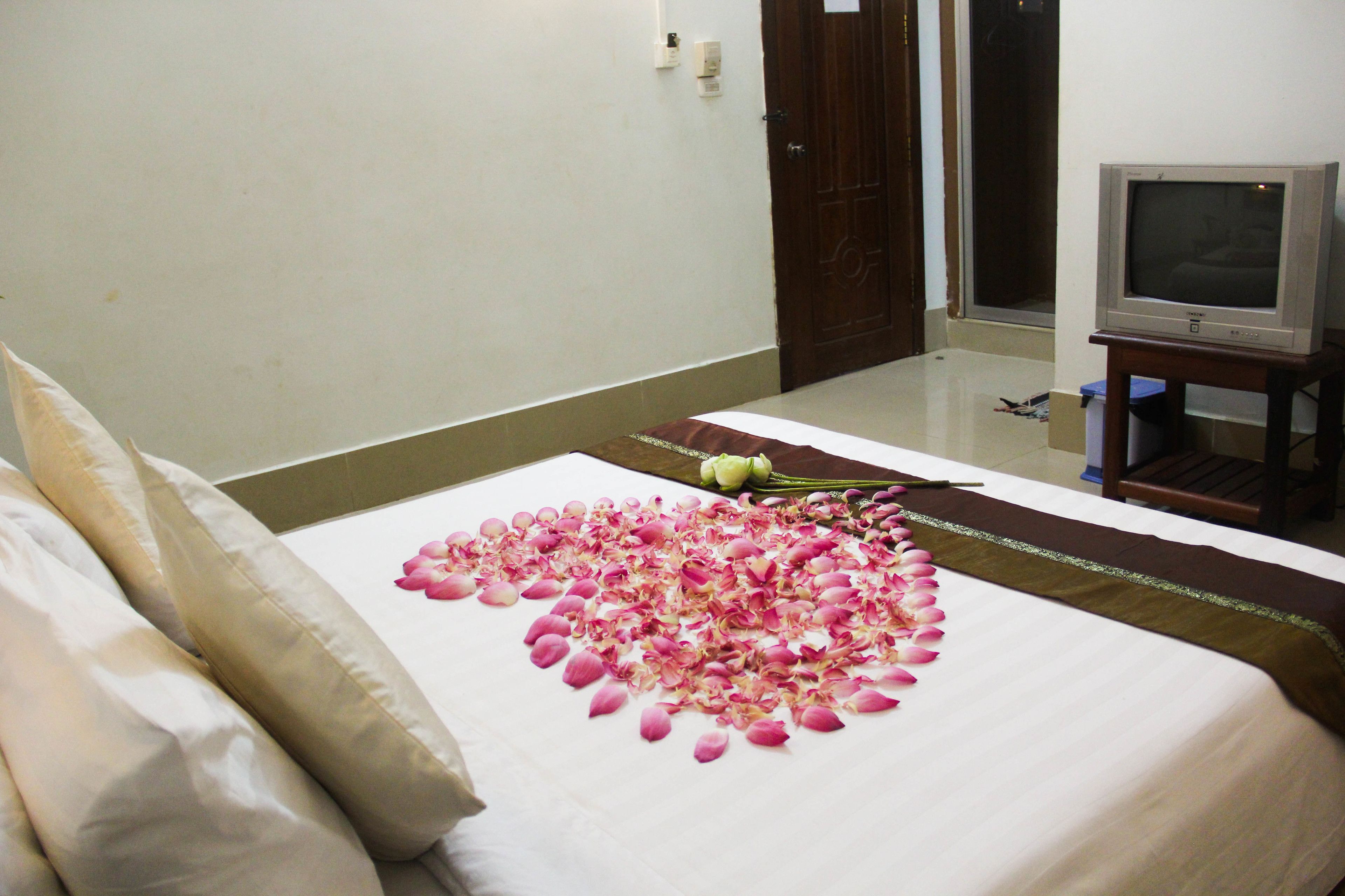 Photo - Tropical Breeze