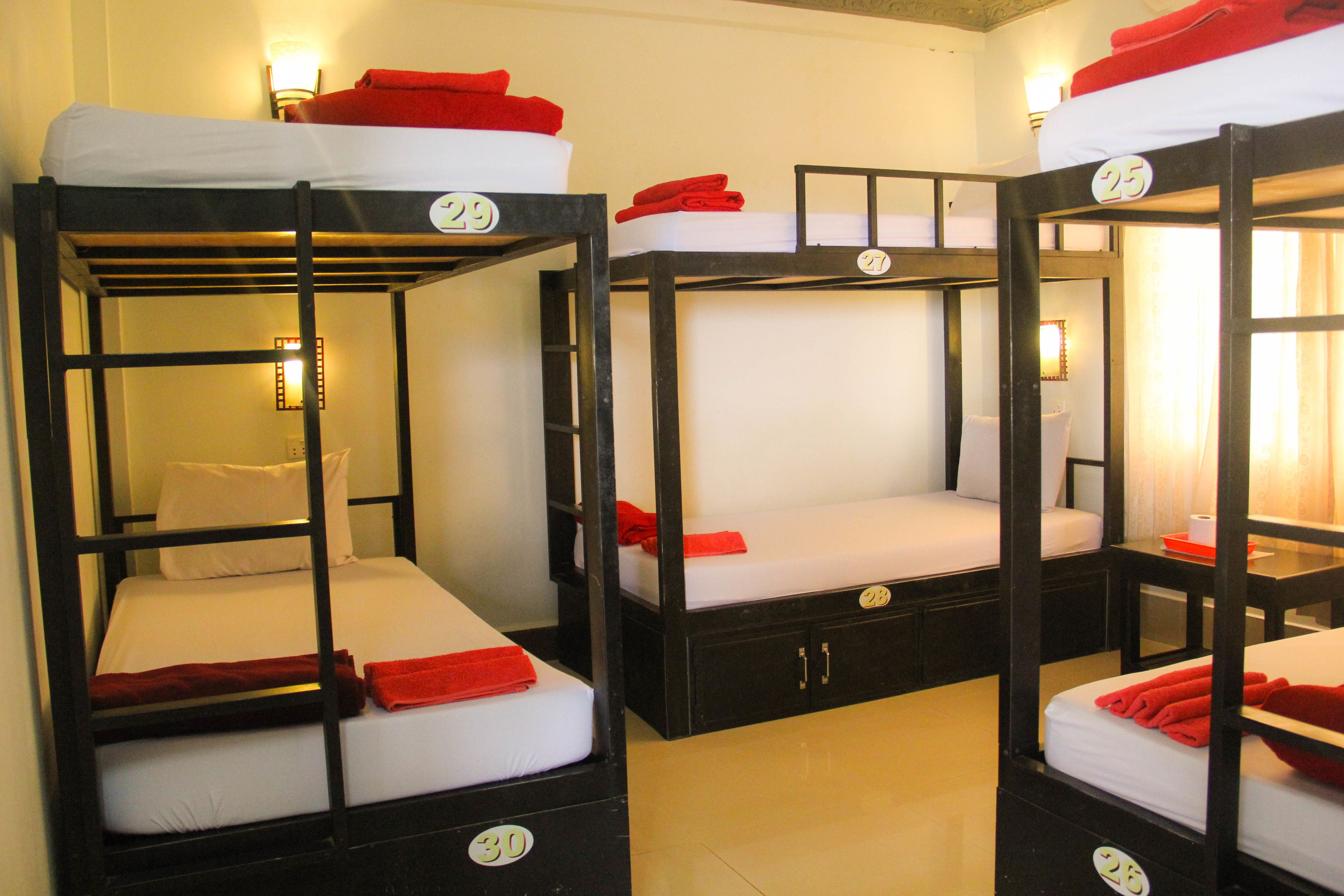 Photo - Tropical Breeze