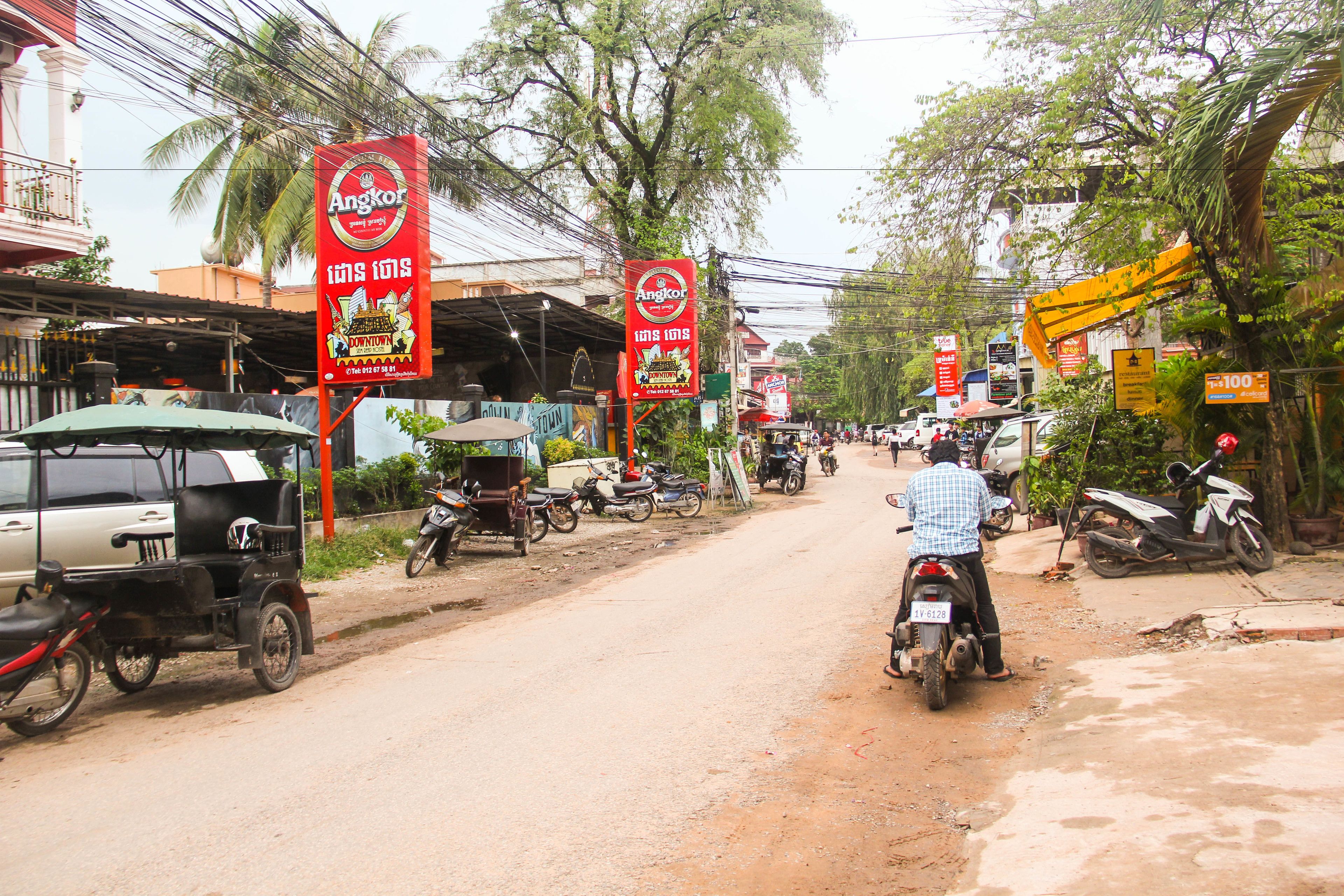 Photo - Tropical Breeze