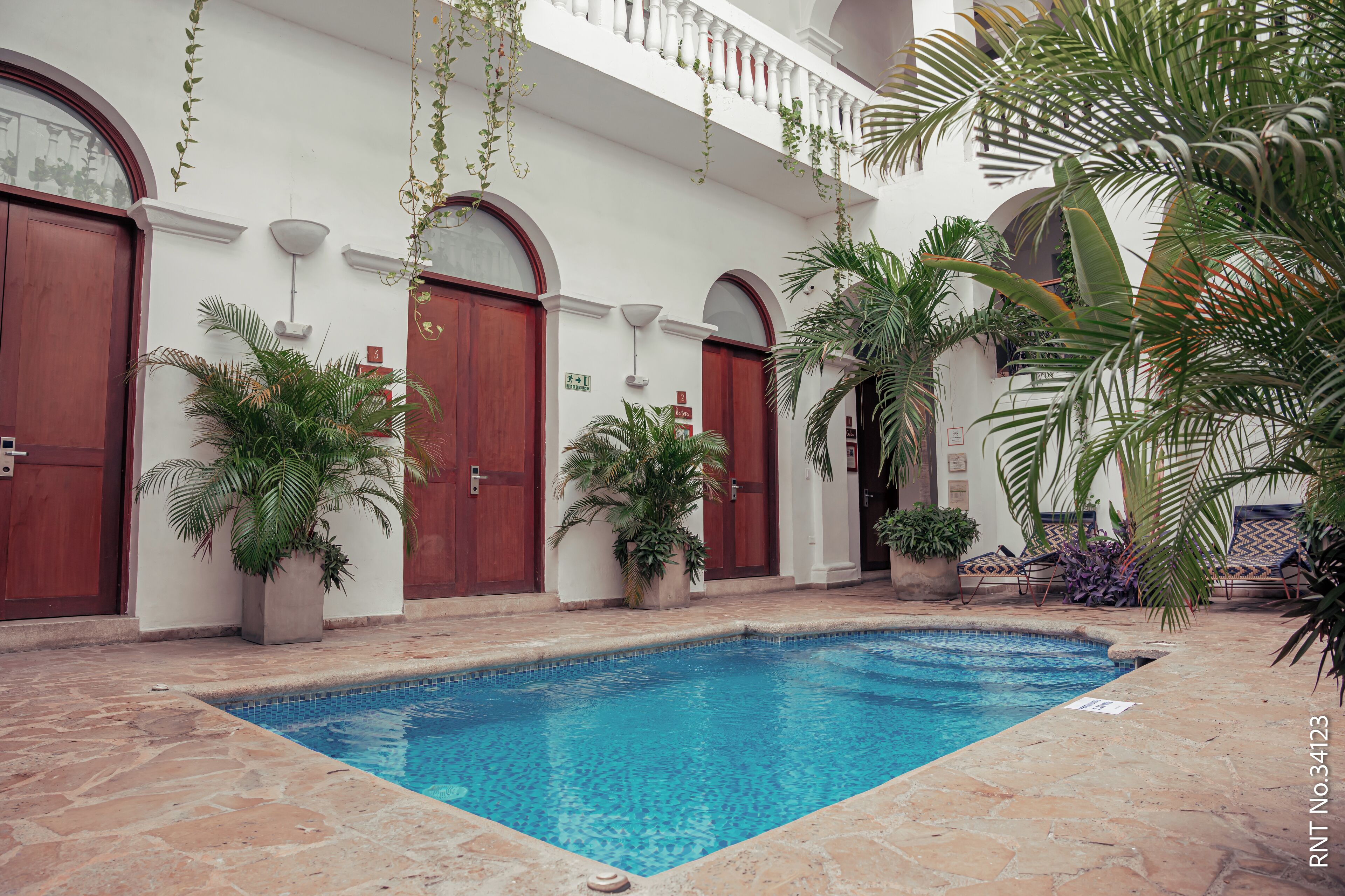 A pool area with a stone floor, surrounded by potted plants and palm trees.