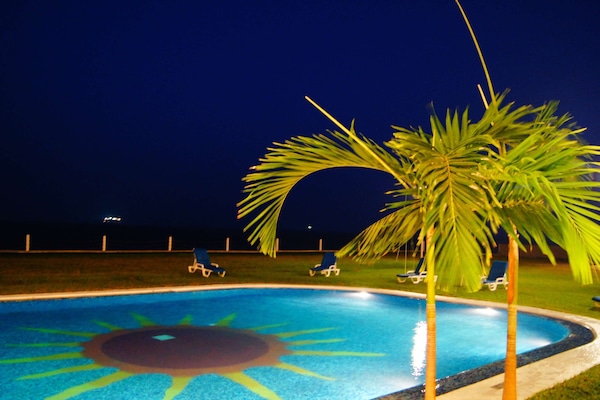Outdoor pool, sun loungers