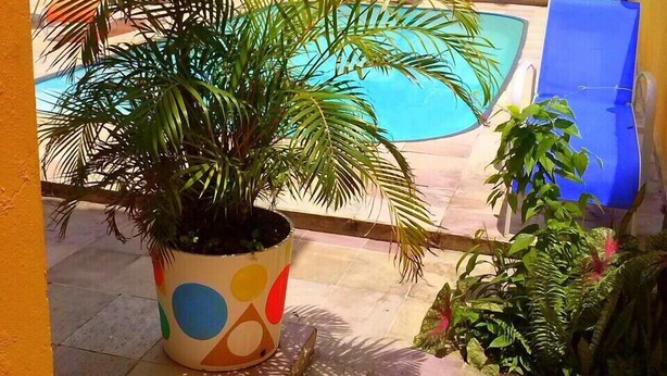 Outdoor pool - Pousada Sossego Suites (Ipojuca)