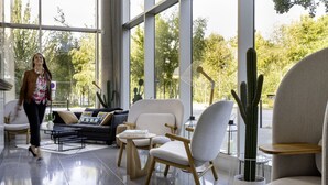 Een moderne woonkamer met een bank, fauteuils, een salontafel en een cactus.