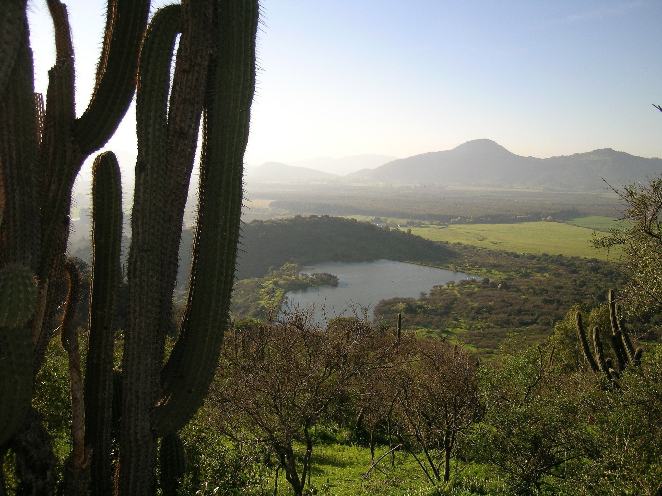 Un paisaje con un lago, montañas y cactus.