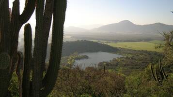 Un paisaje con un lago, montañas y cactus.