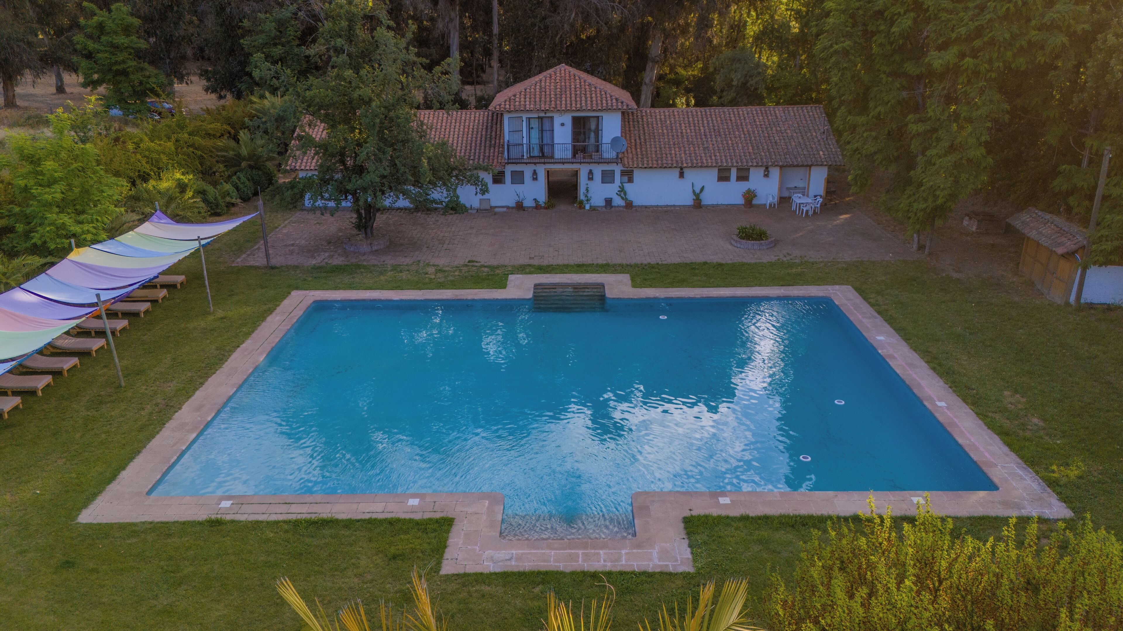 A rectangular swimming pool with a tiled deck, surrounded by grass and a few potted plants.