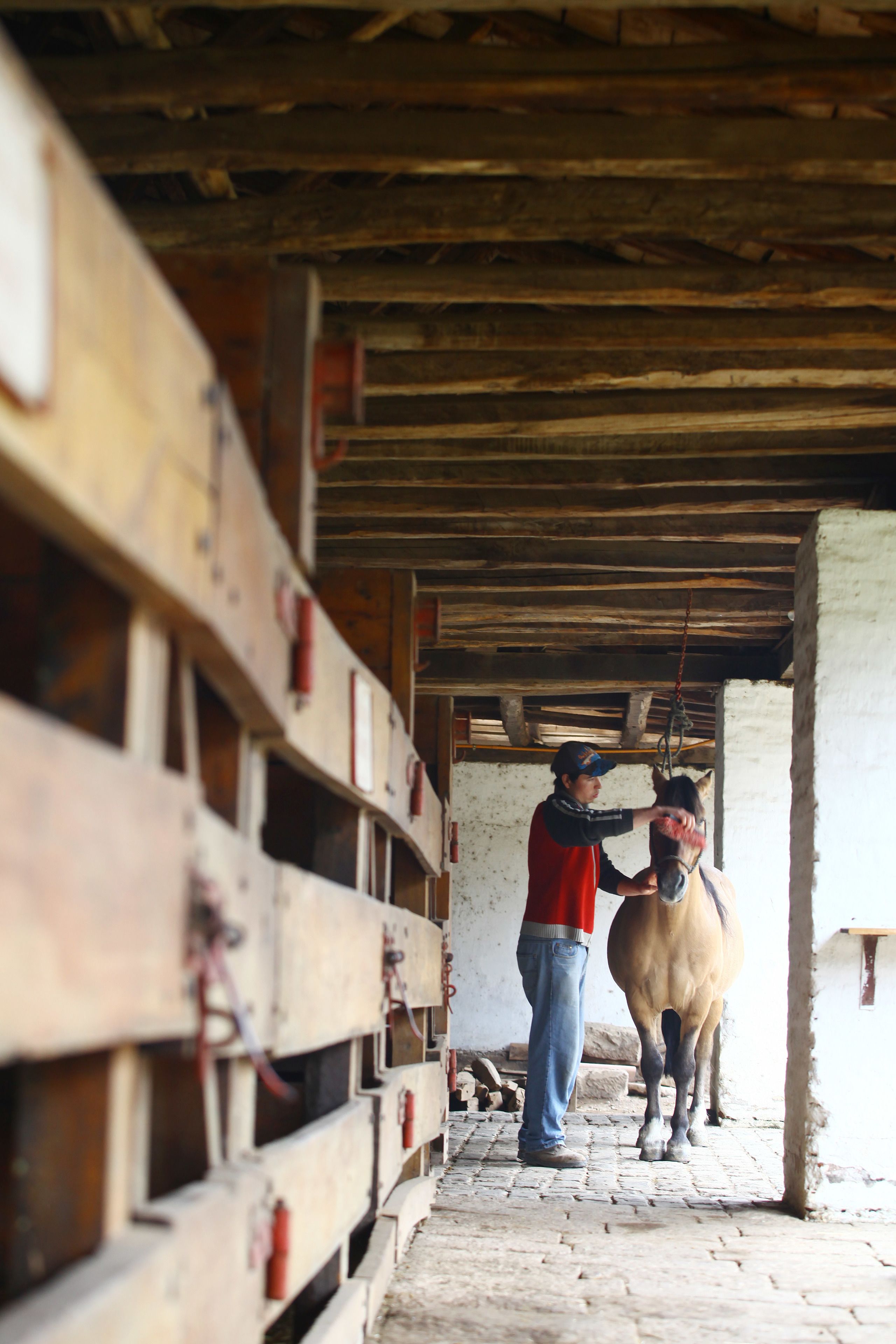 A stable with wooden stalls and a person grooming a horse.