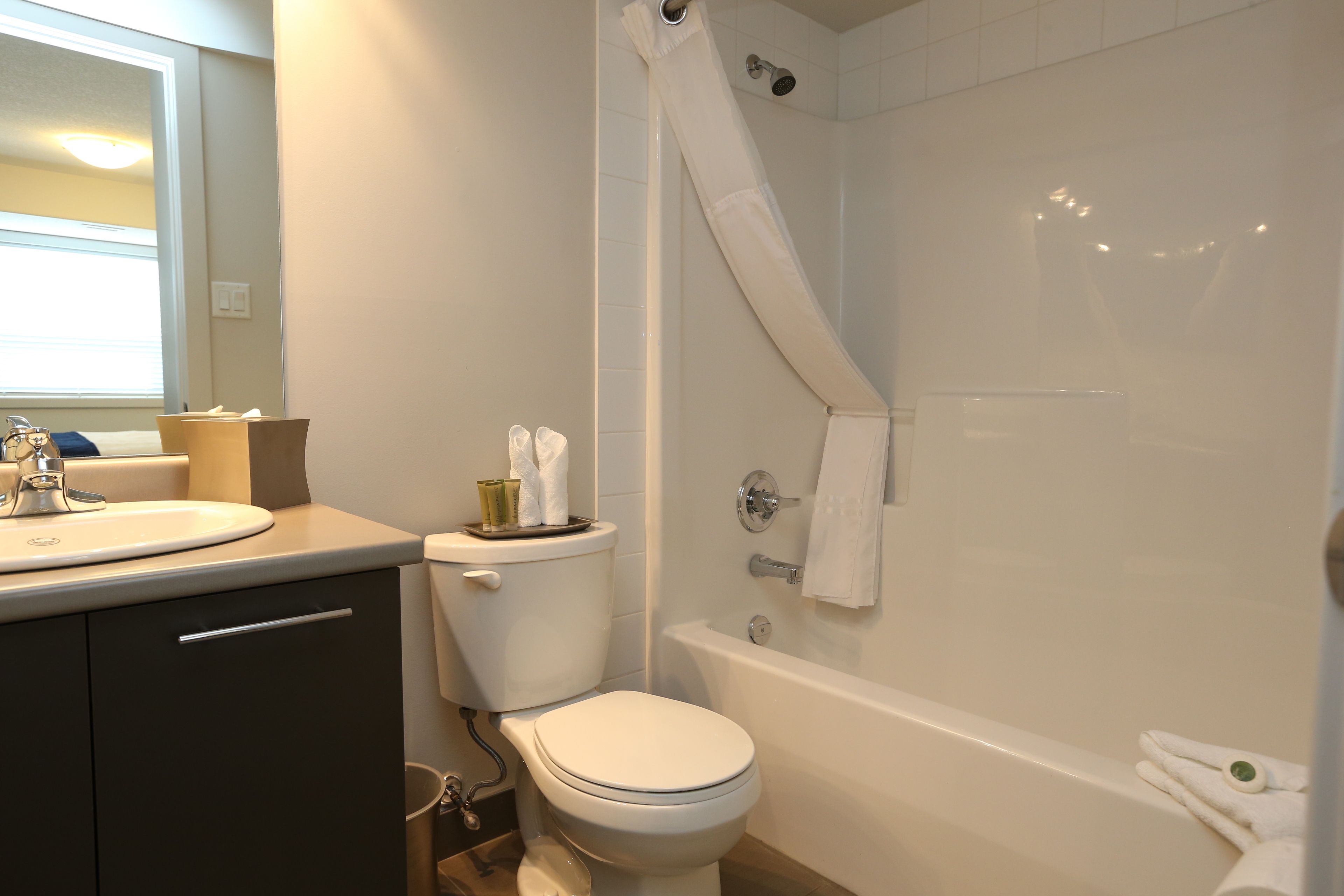 free toiletries, hair dryer, towels