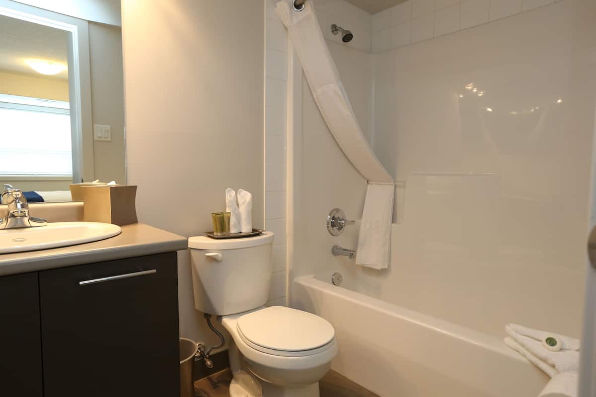 free toiletries, hair dryer, towels