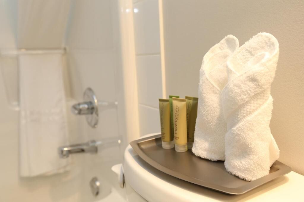 free toiletries, hair dryer, towels