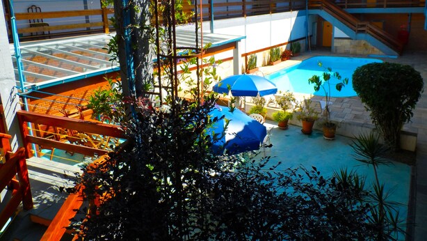 Zona de piscina con techo de cristal, rodeada de macetas y una sombrilla azul.