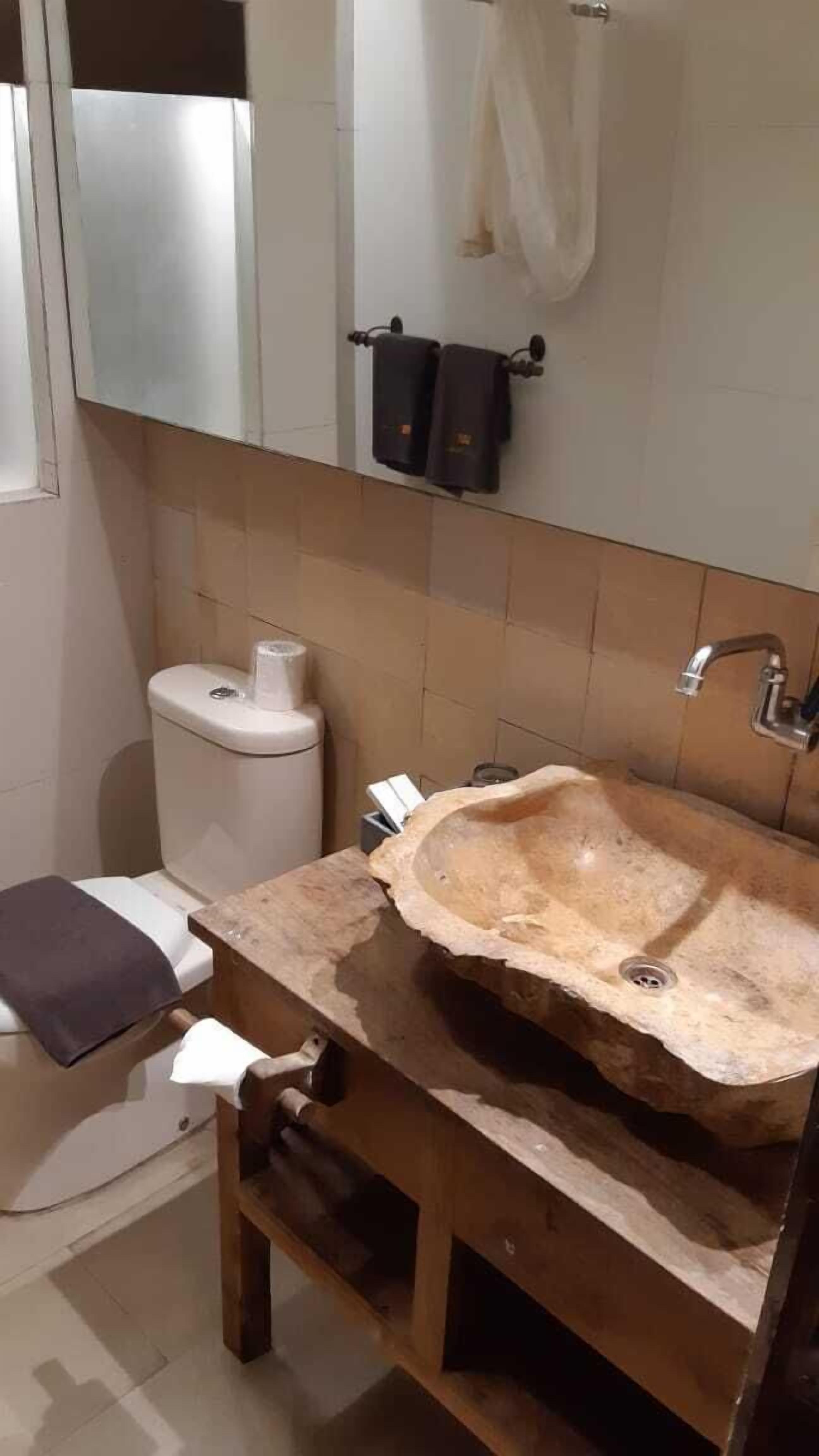 Une salle de bain avec un lavabo en pierre, des toilettes et un miroir.
