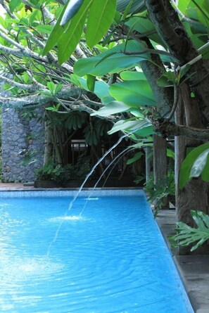Outdoor pool, a natural pool, pool loungers