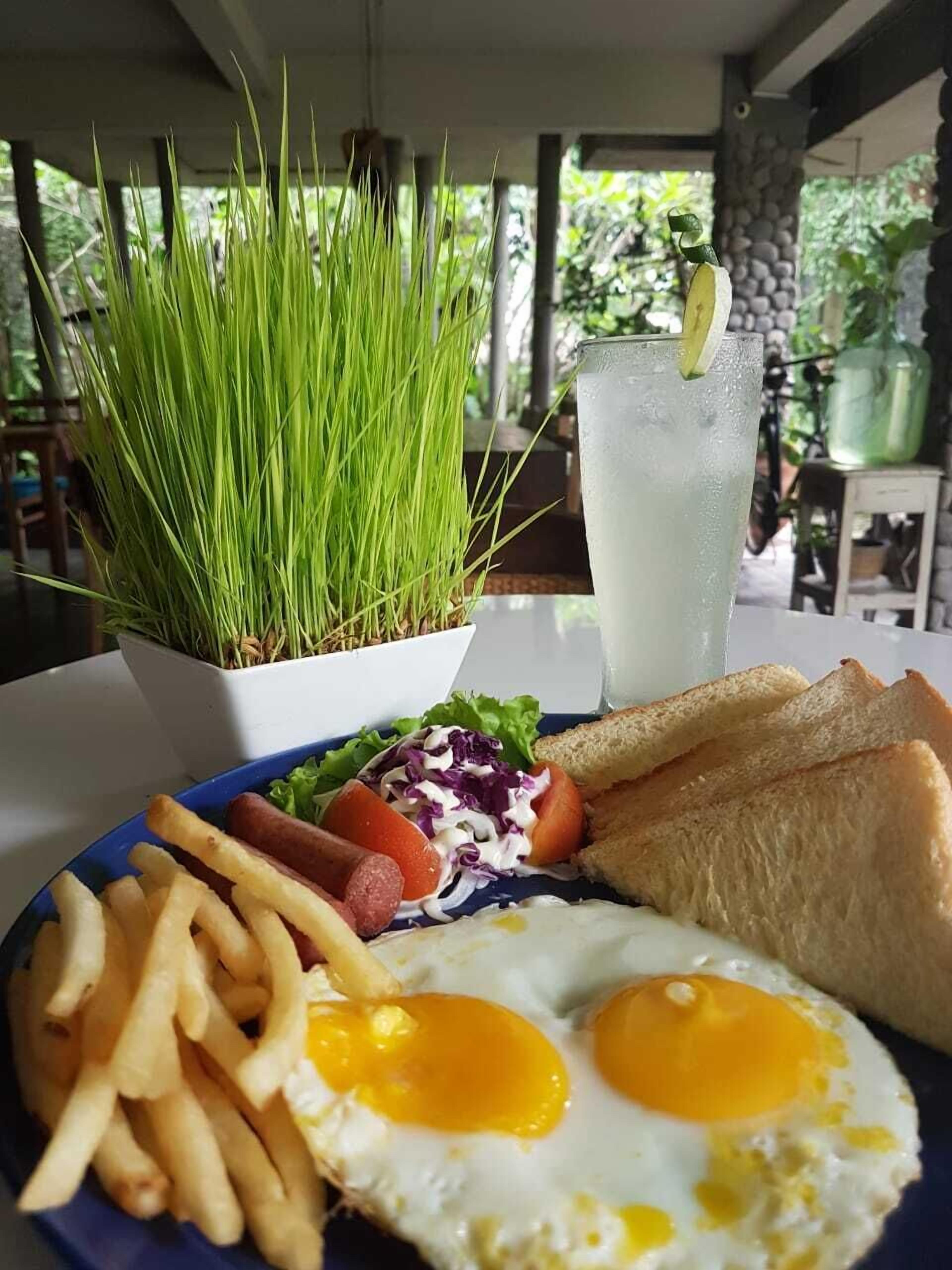 Un repas composé d’œufs, de frites et d’une boisson, servi sur une table agrémentée d’une plante et offrant une vue sur la verdure.