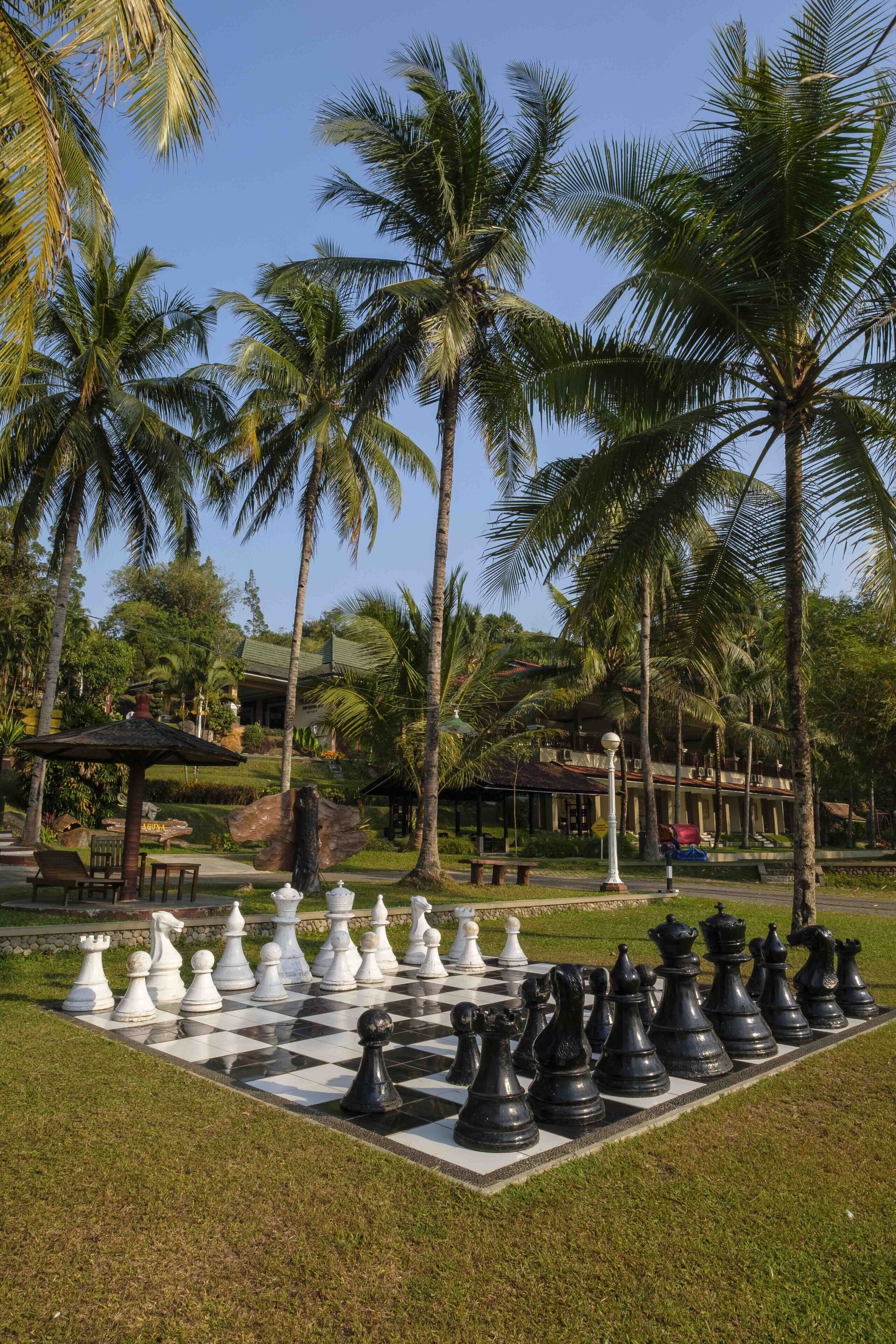 A chessboard set outdoors with palm trees in the background.