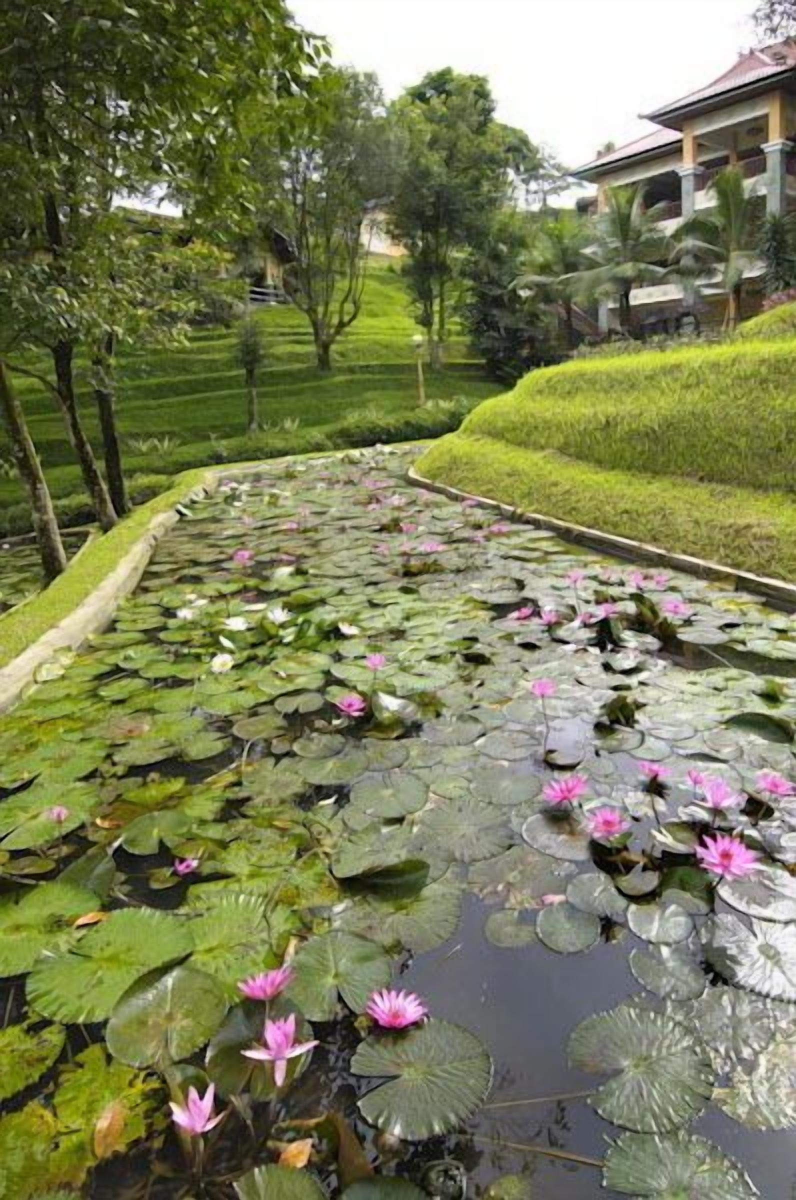 Pemandangan dari properti