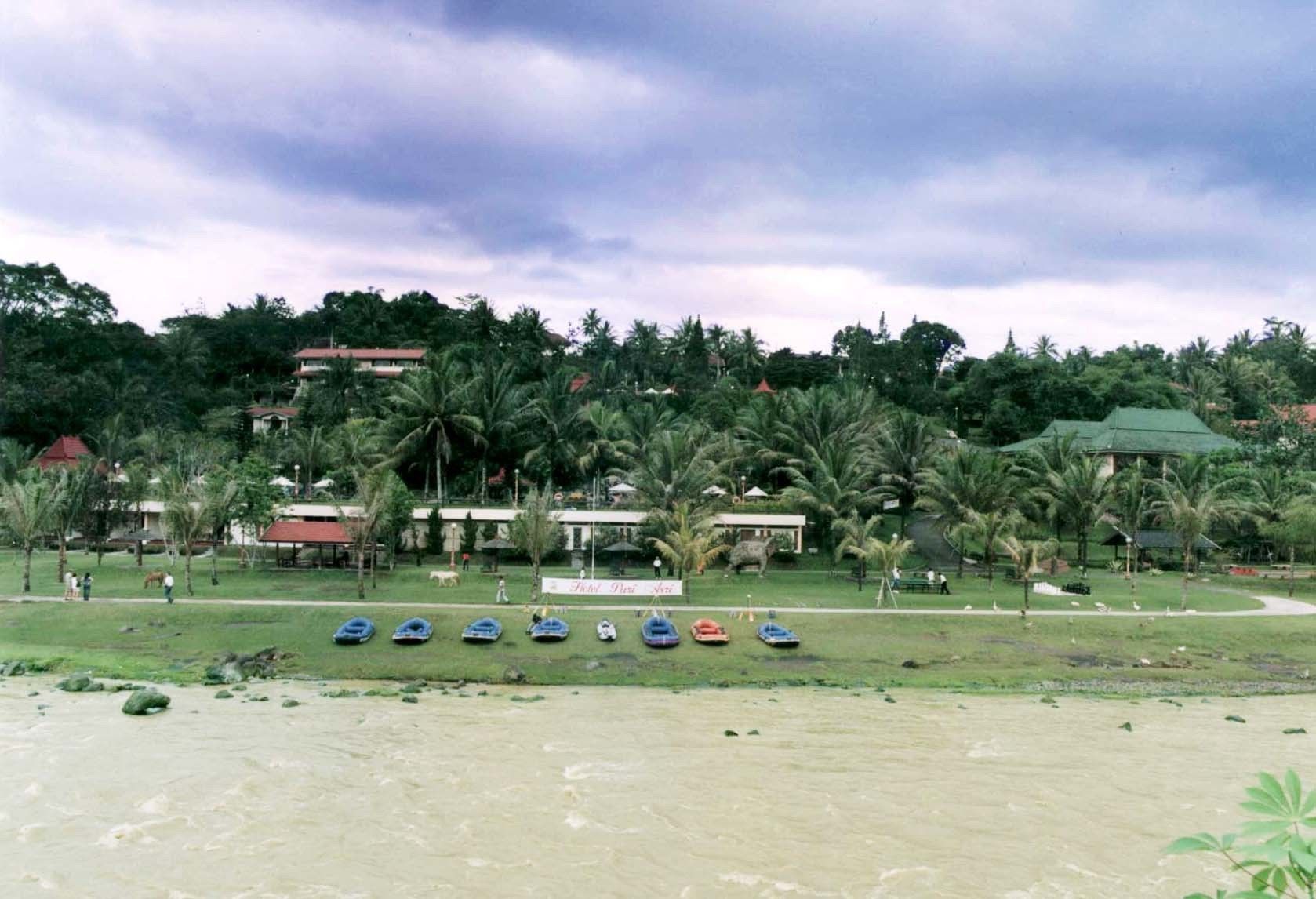 Vista a la orilla del río con barcos, palmeras y edificios al fondo.