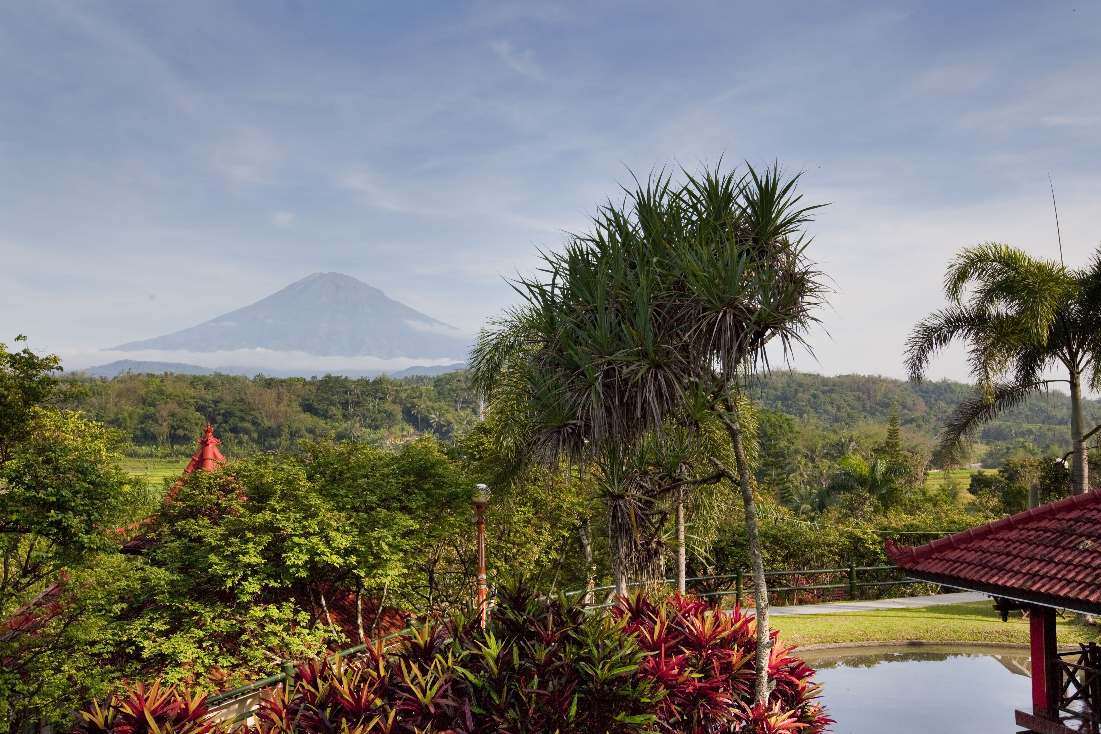 A lush landscape with a mountain in the background, a red-roofed structure, and a pond.