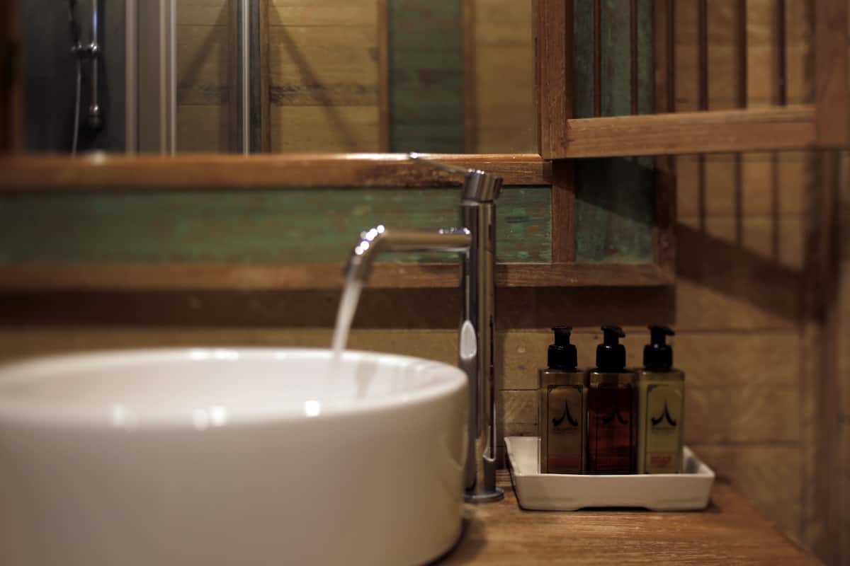 shower, free toiletries, hair dryer, bathrobes