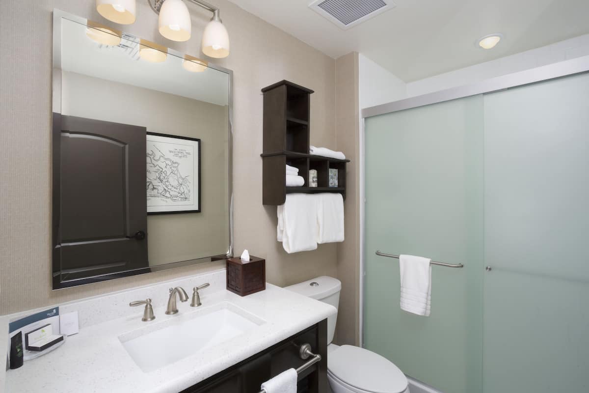 free toiletries, hair dryer, towels