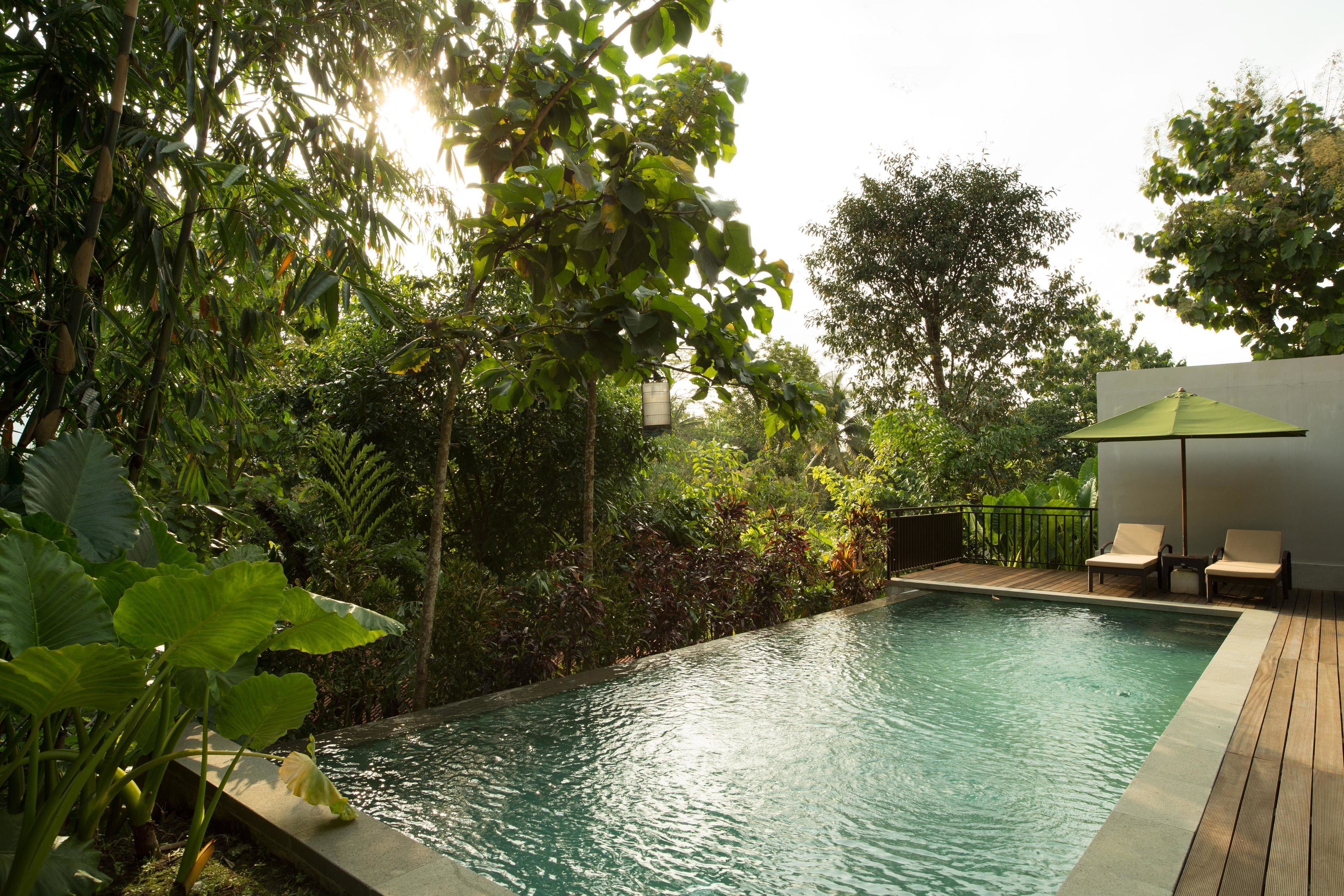 尊爵別墅, 私人泳池 (Modern) | 無邊際游泳池 | 室外游泳池，提供日光浴躺椅