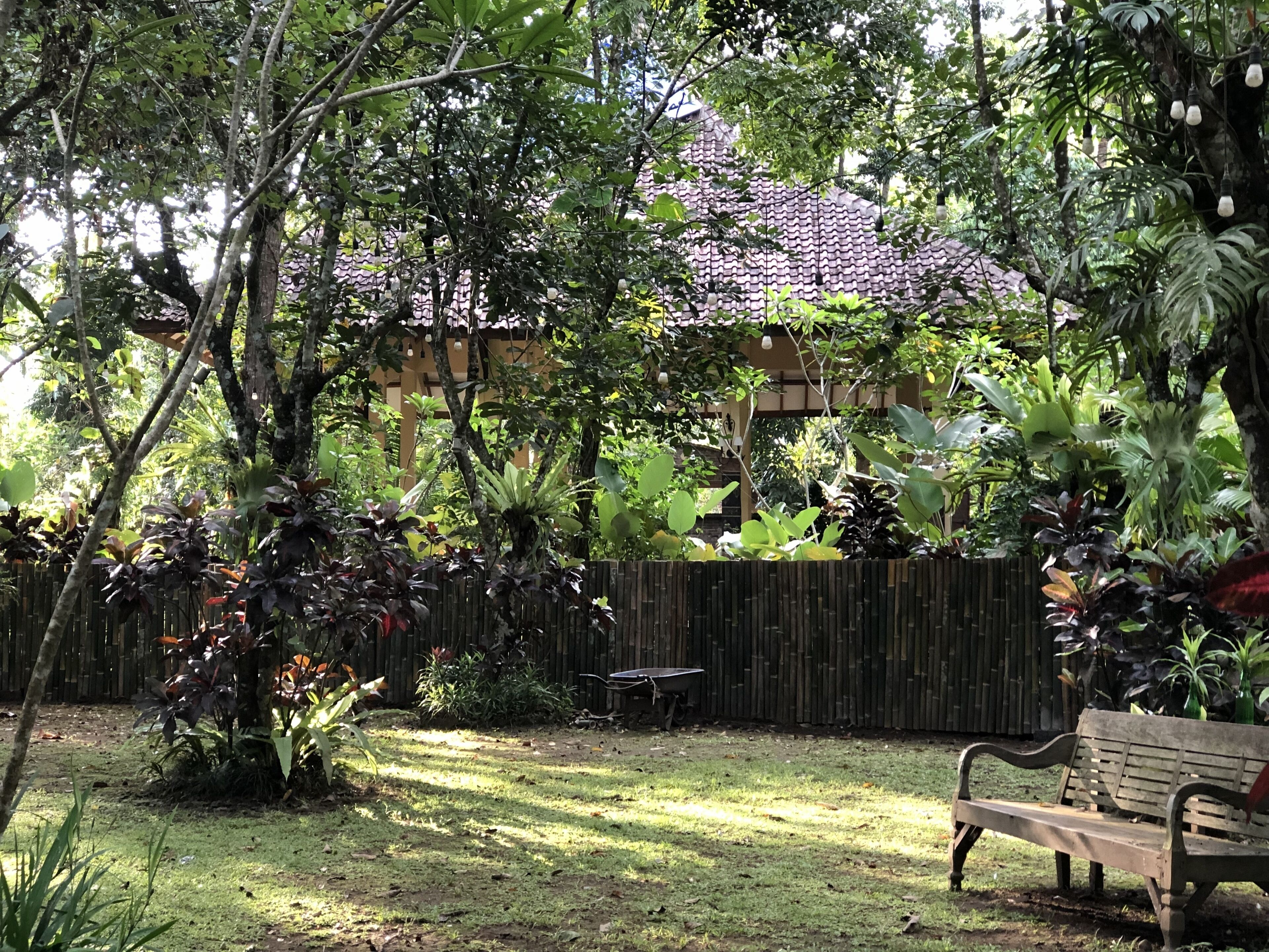 A garden with a wooden bench, a wheelbarrow, and a bamboo fence.