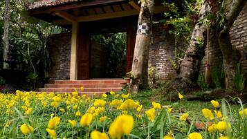 Jardin