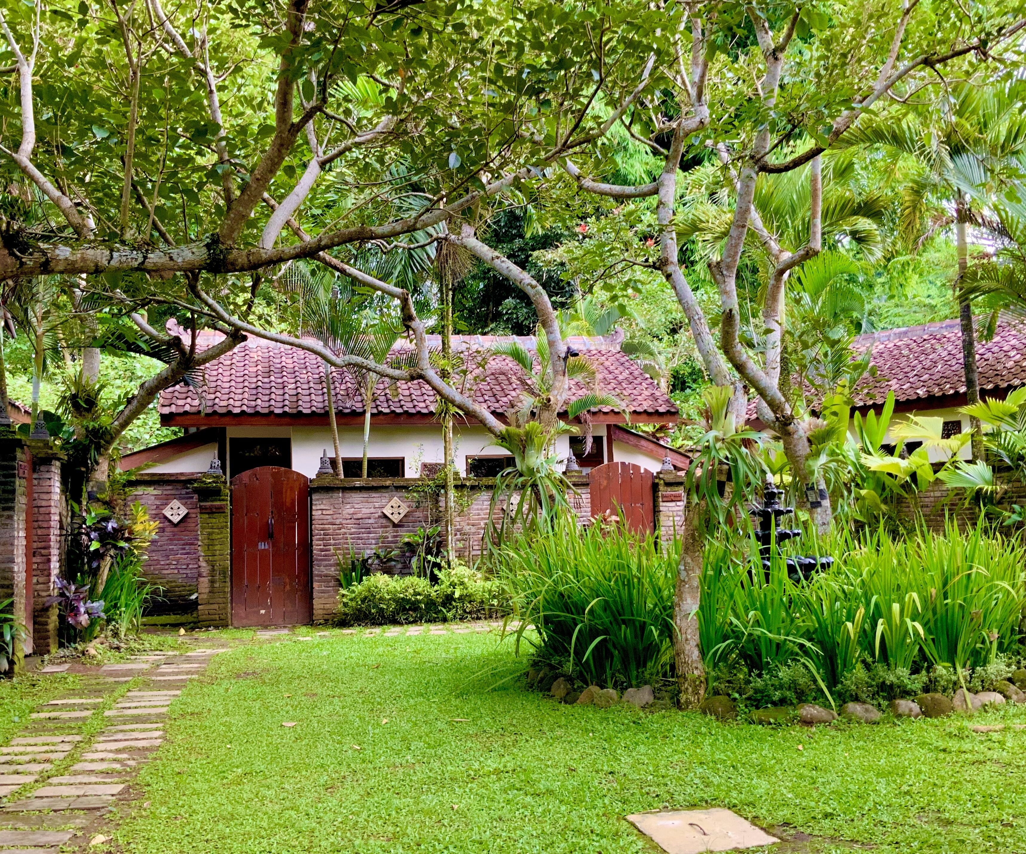 Studio Deluxe - utsikt mot trädgården - trädgård | Utsikt från rummet