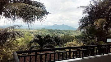 Pemandangan gunung