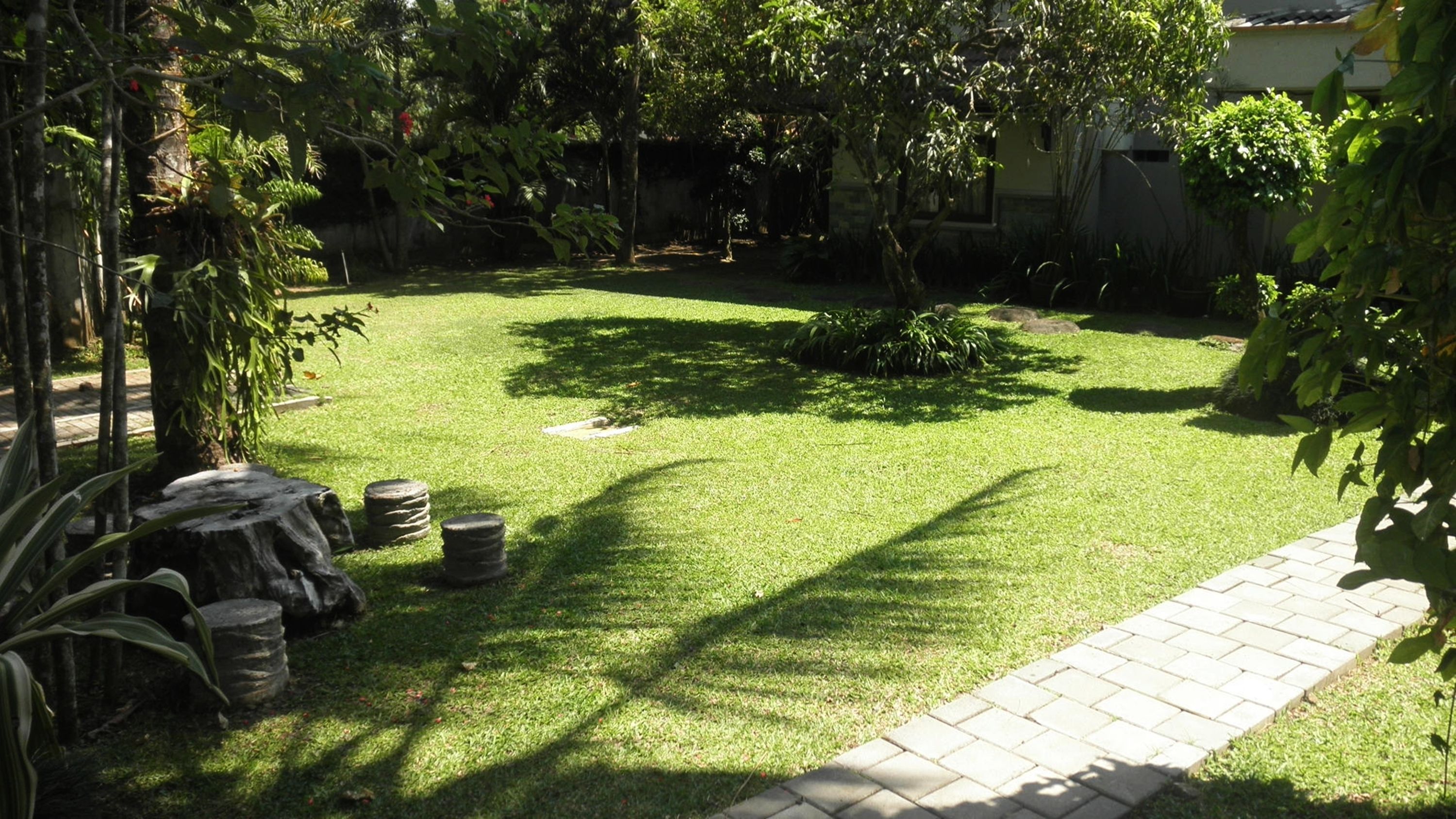 Un giardino curato con un vialetto lastricato, fioriere in pietra e vegetazione rigogliosa.