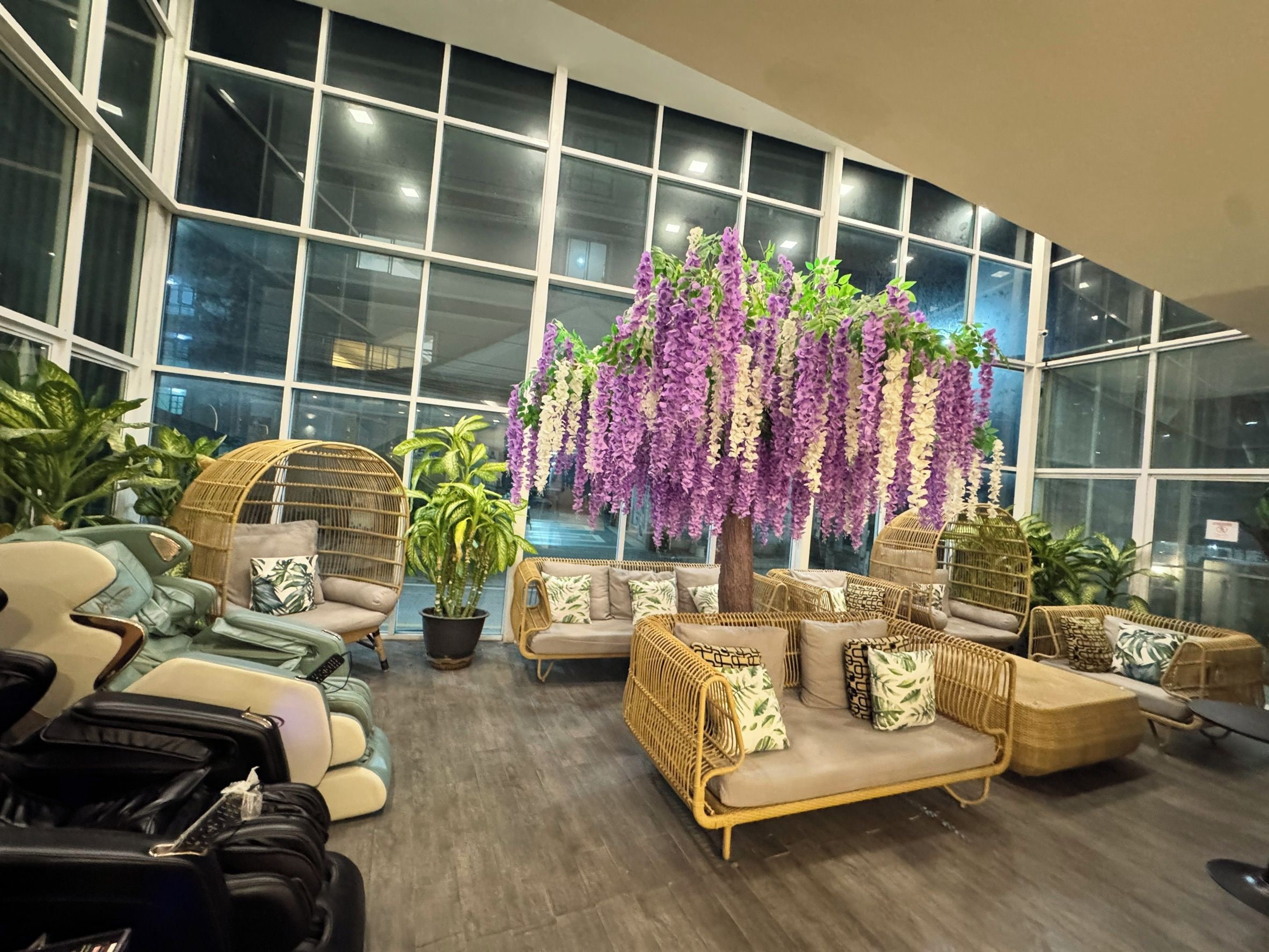 A modern interior with seating arrangements, a large window, and indoor plants.