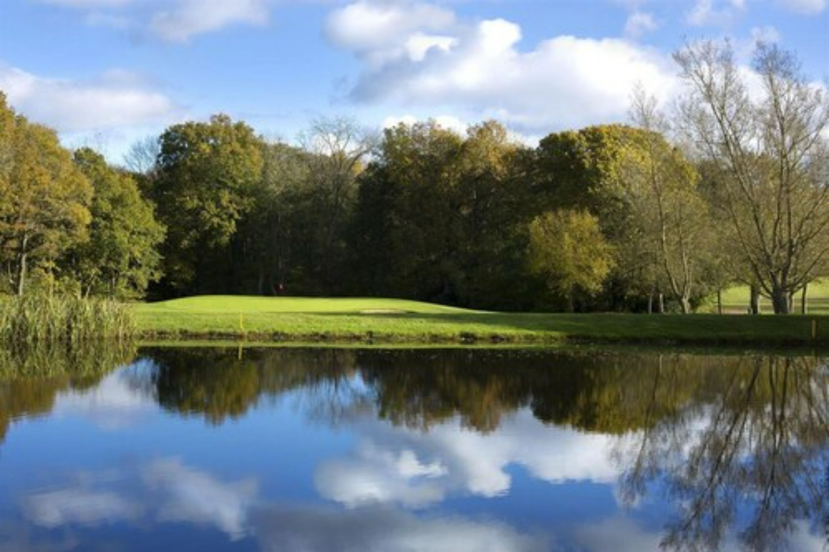 A serene landscape with a pond reflecting trees and a grassy area.