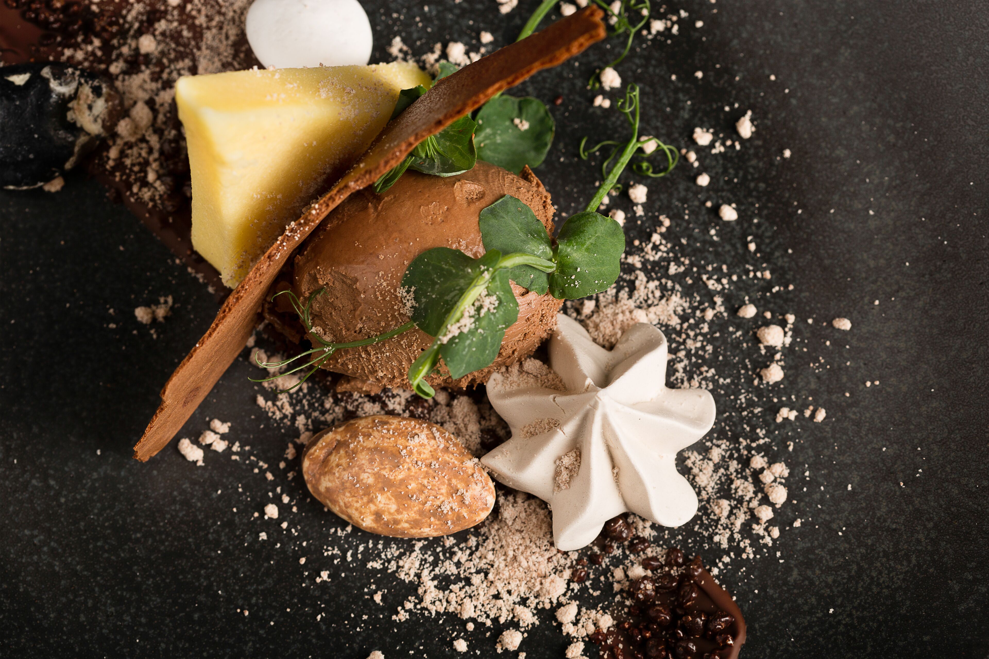 A dessert with various components including a star-shaped meringue, a chocolate piece, and a slice of cake on a dark surface.