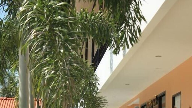 A hotel corridor with a garden area, potted plants, and a statue. - Phuket Airport Inn (Sa Khu)