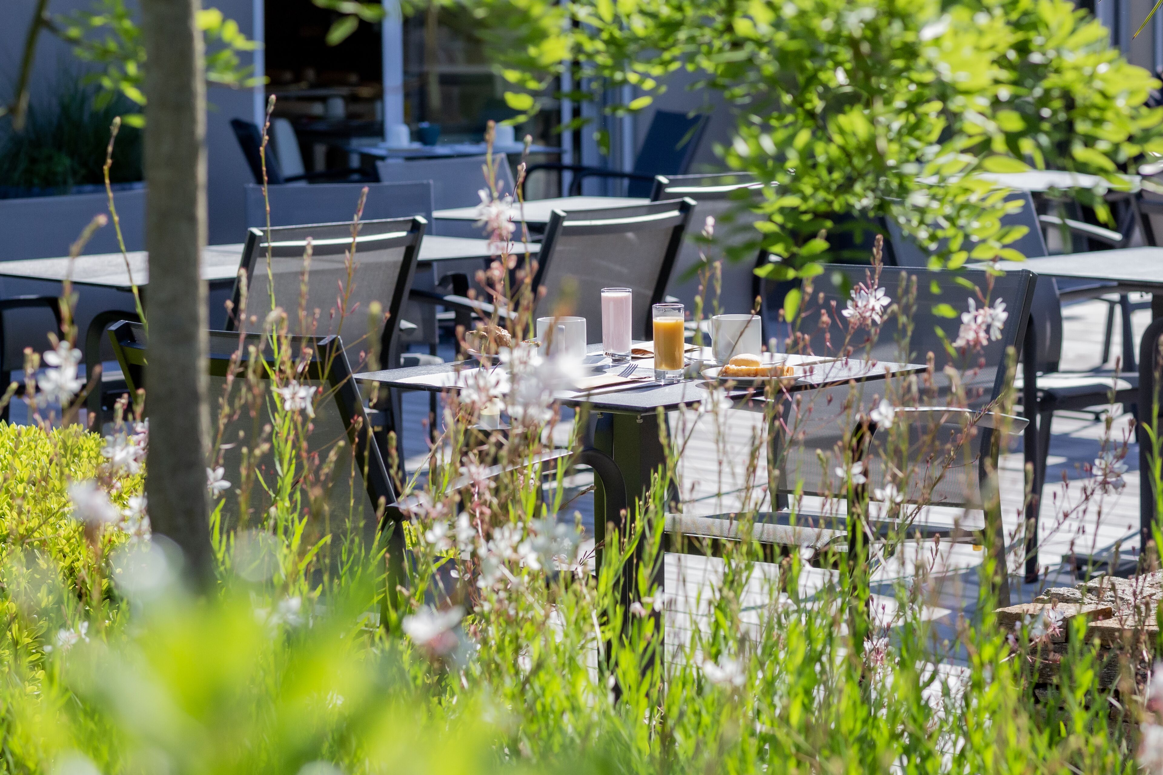 daily buffet breakfast (eur 23 per person)